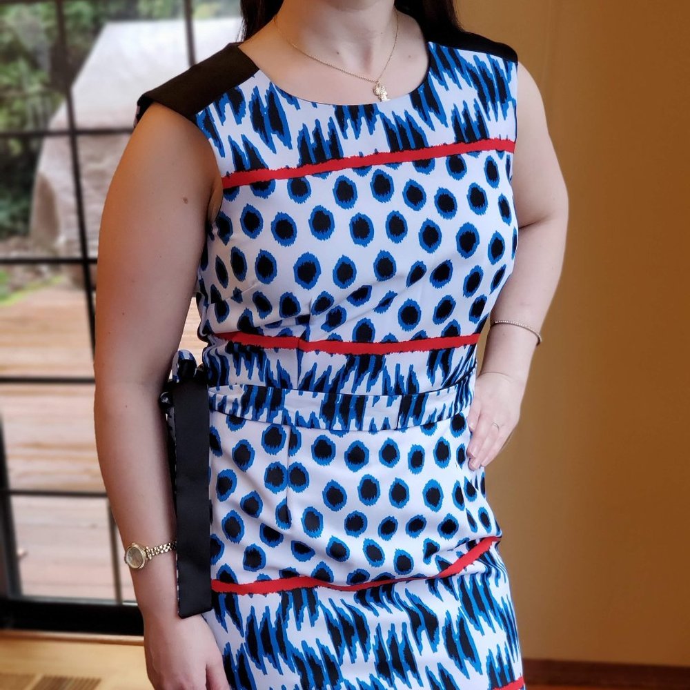 White, Black, Blue Dress